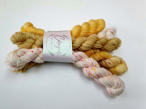 Ponytail Mini Skein Set 5x20g Swagman - #33