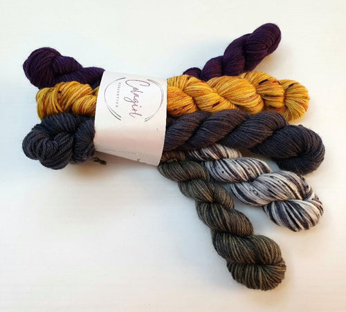 Ponytail Mini Set 5x20g Swagman #40
