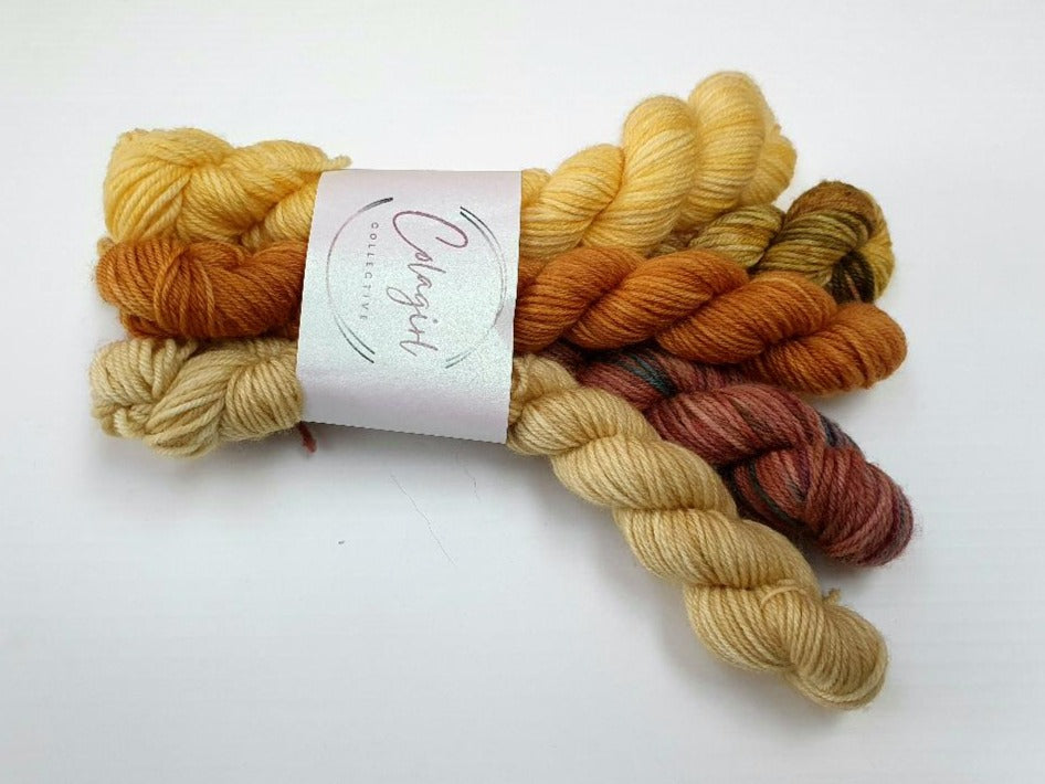 Ponytail Mini Skein Set 5x20g Swagman - #32