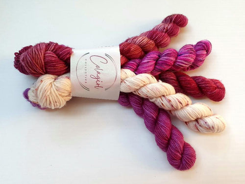 Ponytail Mini Skein Set 5 x 20g Swagman - #38