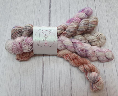 Ponytail Mini Skein Set 5x20g Swagman 4ply/Fingering #51