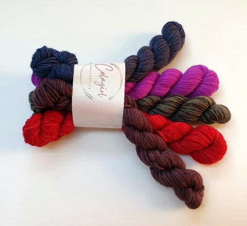 Ponytail Mini Skein Set 5x20g Swagman 4ply/Fingering #39