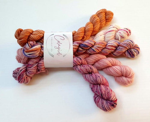 Ponytail Mini Skein Set 5x20g Swagman - #41
