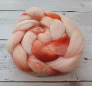 Hand Painted Roving Merino/Corriedale-Alice