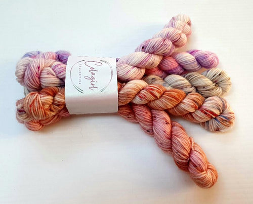 Ponytail Mini Set 5x20g Swagman 4ply/Fingering #42