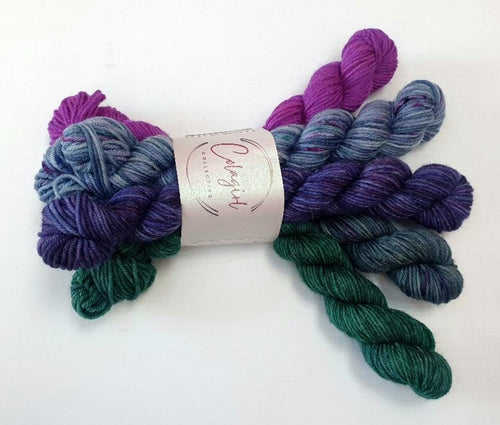 Ponytail Mini Skein Set 5x20g Swagman 4ply/Fingering #31